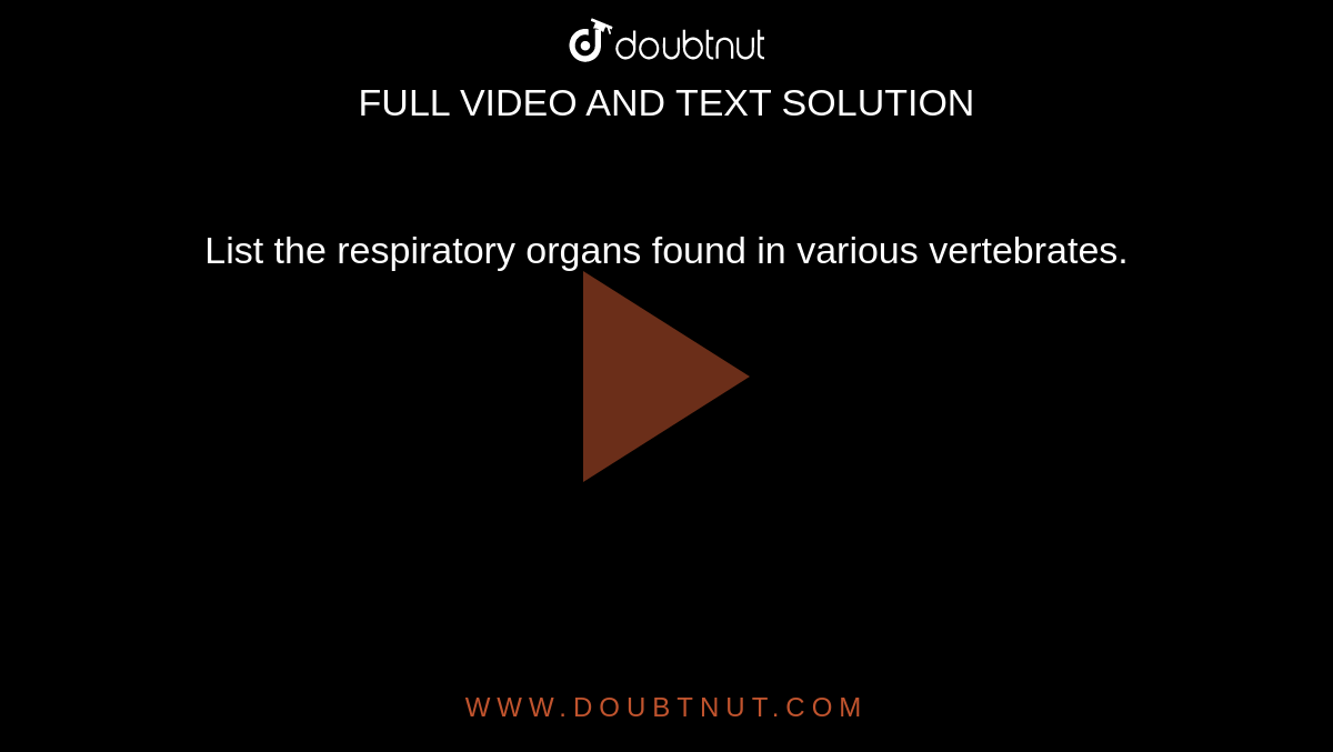 List the respiratory organs found in various vertebrates.