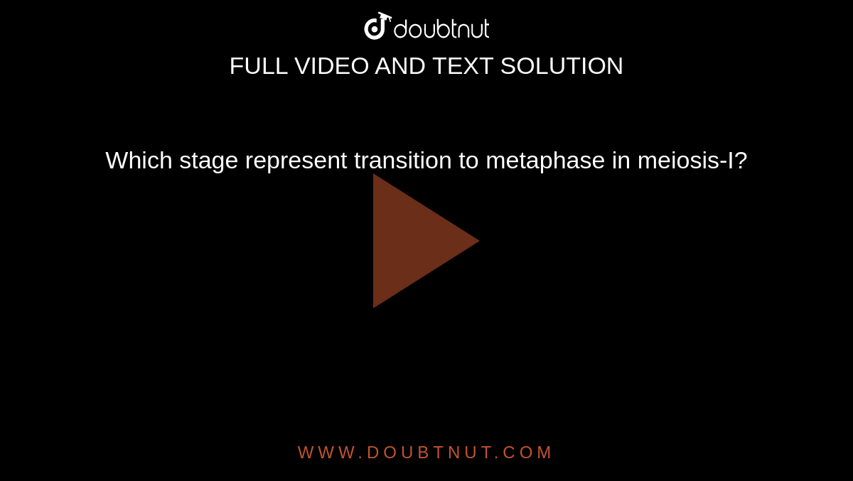 Which stage represent transition to metaphase in meiosis-I?