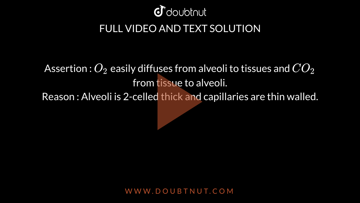 Assertion : `O_(2)` easily diffuses from alveoli to tissues and `CO_(2)` from tissue to alveoli. <br> Reason : Alveoli is 2-celled thick and capillaries are thin walled.