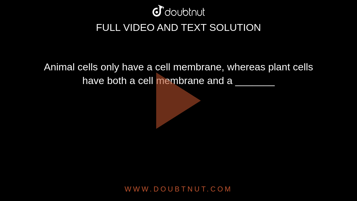 Animal cells only have a cell membrane, whereas plant cells have both a cell  membrane and a