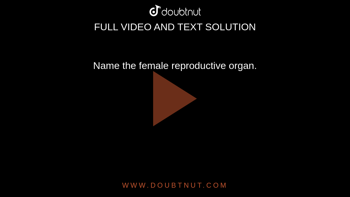 Name the female reproductive organ.
