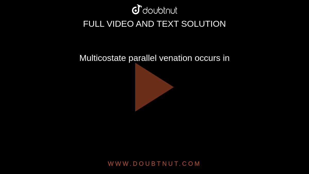 Multicostate parallel venation occurs in 