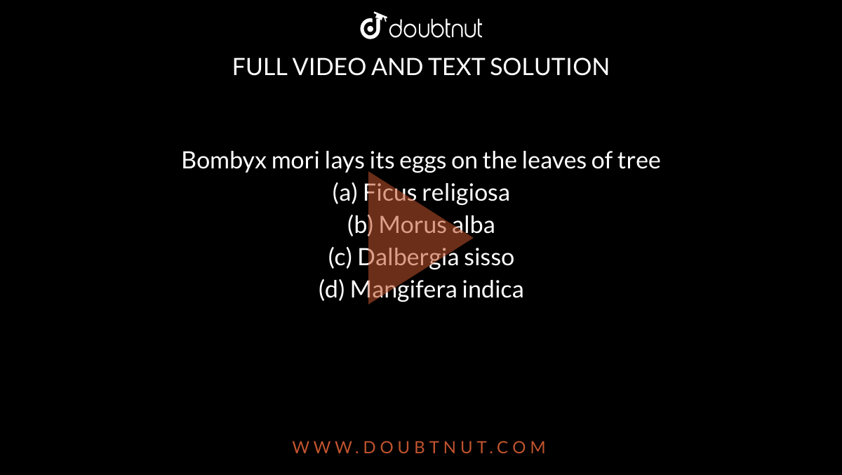 Bombyx mori lays its eggs on the leaves of tree<br>(a) Ficus religiosa<br>

(b) Morus alba<br>

(c) Dalbergia sisso<br>

(d) Mangifera indica