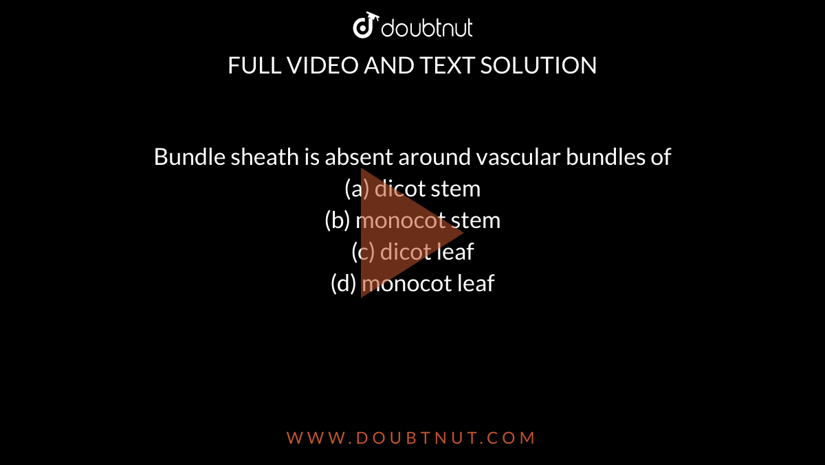 Bundle sheath is absent around vascular bundles of <br>(a) dicot stem<br>

(b) monocot stem<br>

(c) dicot leaf<br>

(d) monocot leaf

