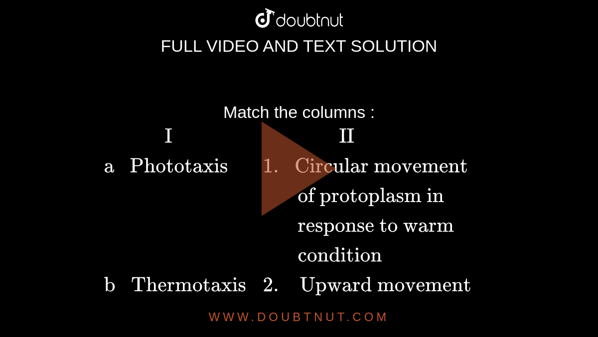 chemotaxis movement