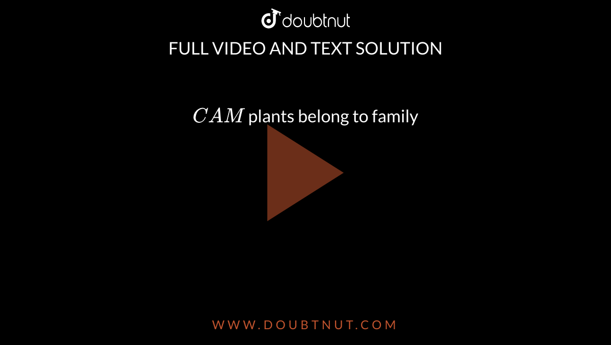 `CAM` plants belong to family
