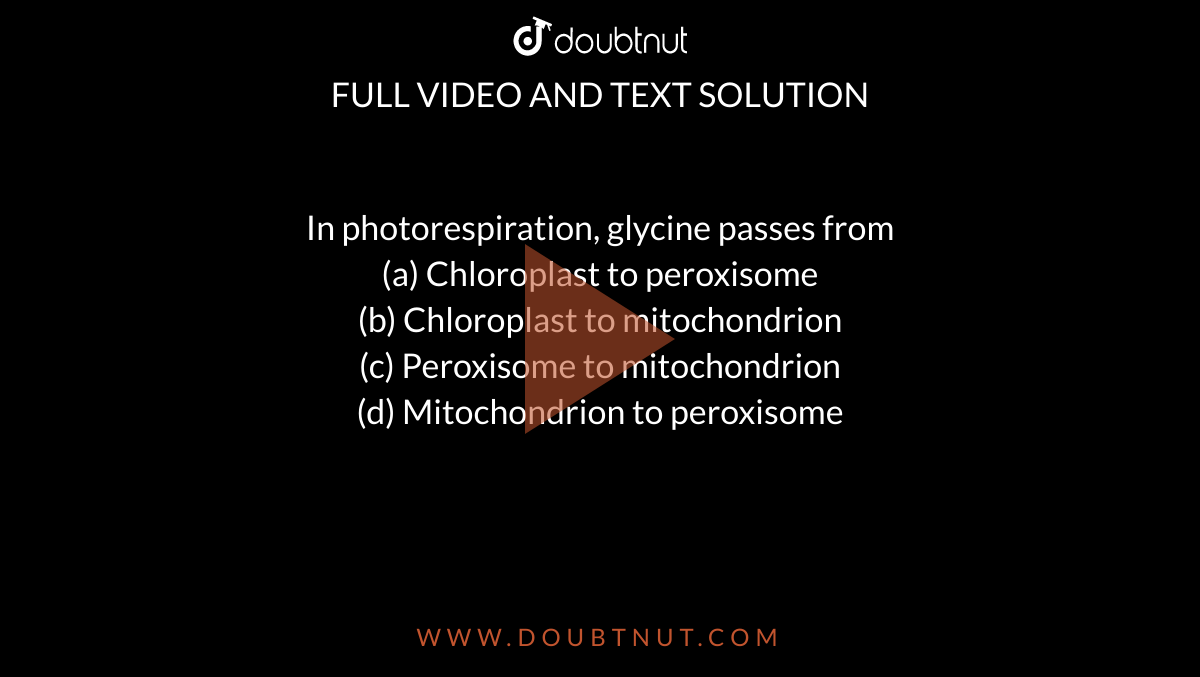 In photorespiration, glycine passes from<br>(a) Chloroplast to peroxisome<br>

(b) Chloroplast to mitochondrion<br>

(c) Peroxisome to mitochondrion<br>

(d) Mitochondrion to peroxisome