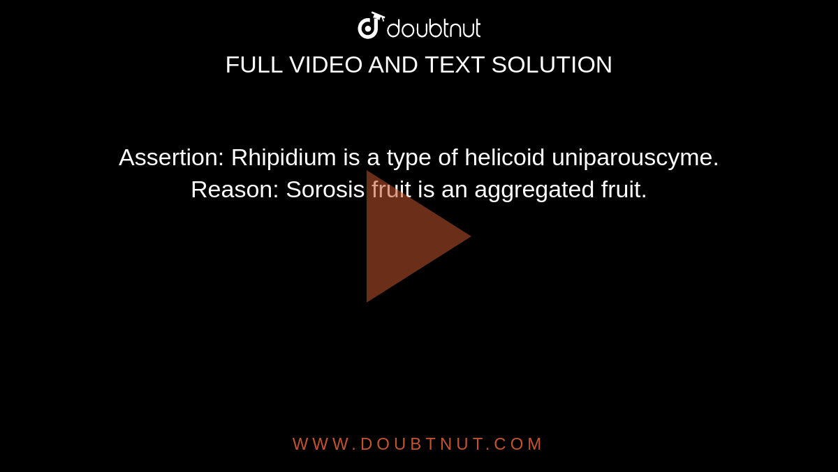 Assertion: Rhipidium is a type of helicoid uniparouscyme. <br> Reason: Sorosis fruit is an aggregated fruit.