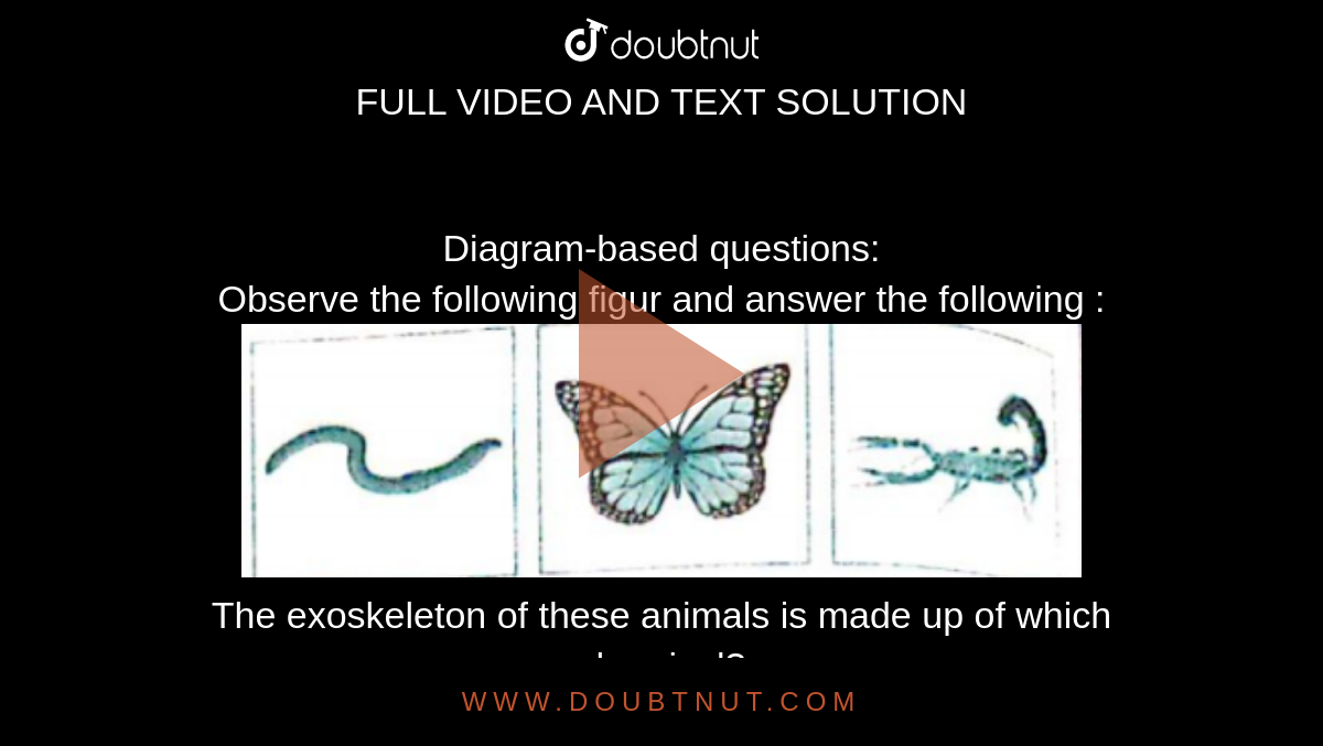 Diagram-based questions: Observe the following figur and answer the  following : The exoskeleton of these animals is made up of which chemical?