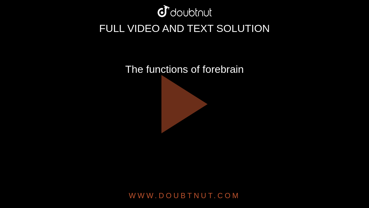 The functions of forebrain