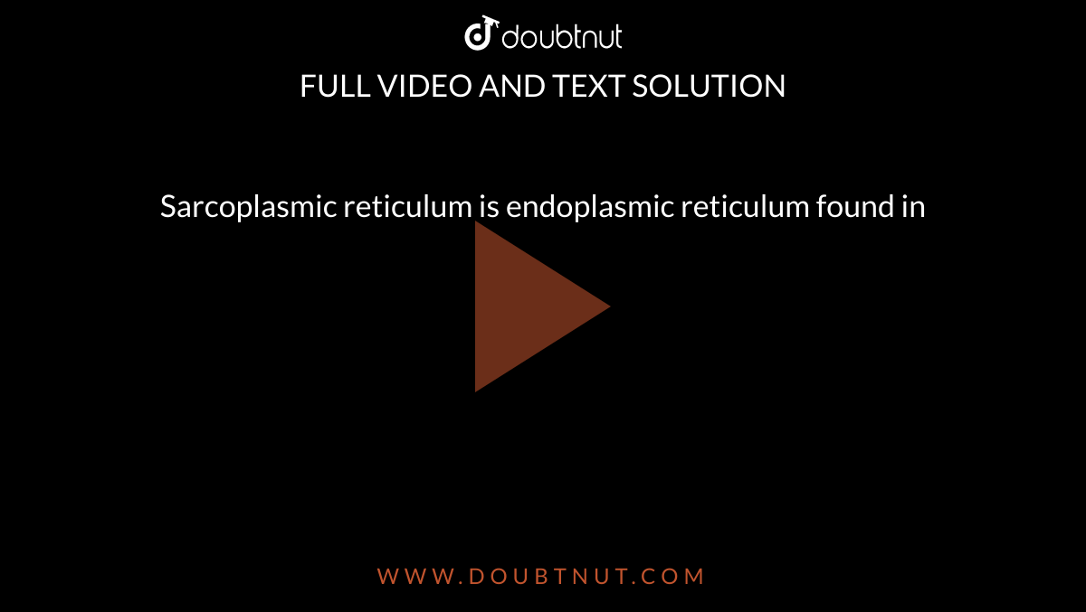 Sarcoplasmic reticulum is endoplasmic reticulum found in 
