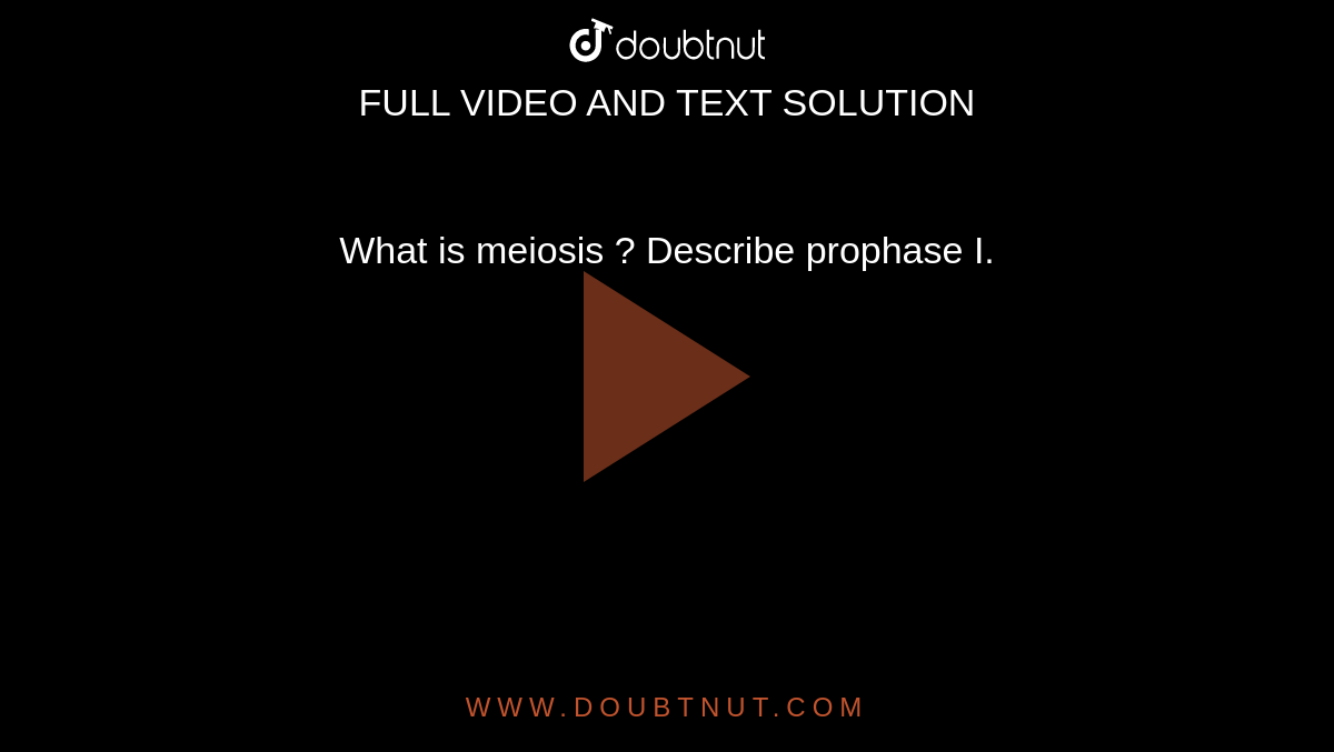 What is meiosis ? Describe prophase I.