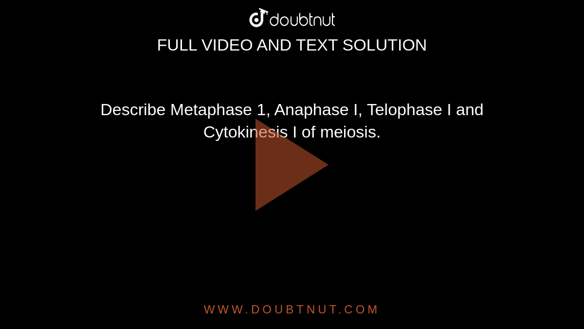 Describe Metaphase 1, Anaphase I, Telophase I and Cytokinesis I of meiosis.