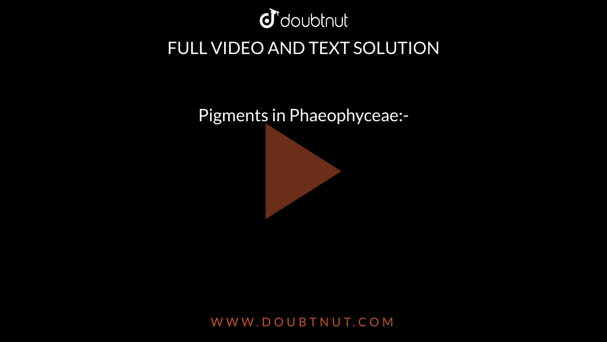 Pigments in Phaeophyceae:-