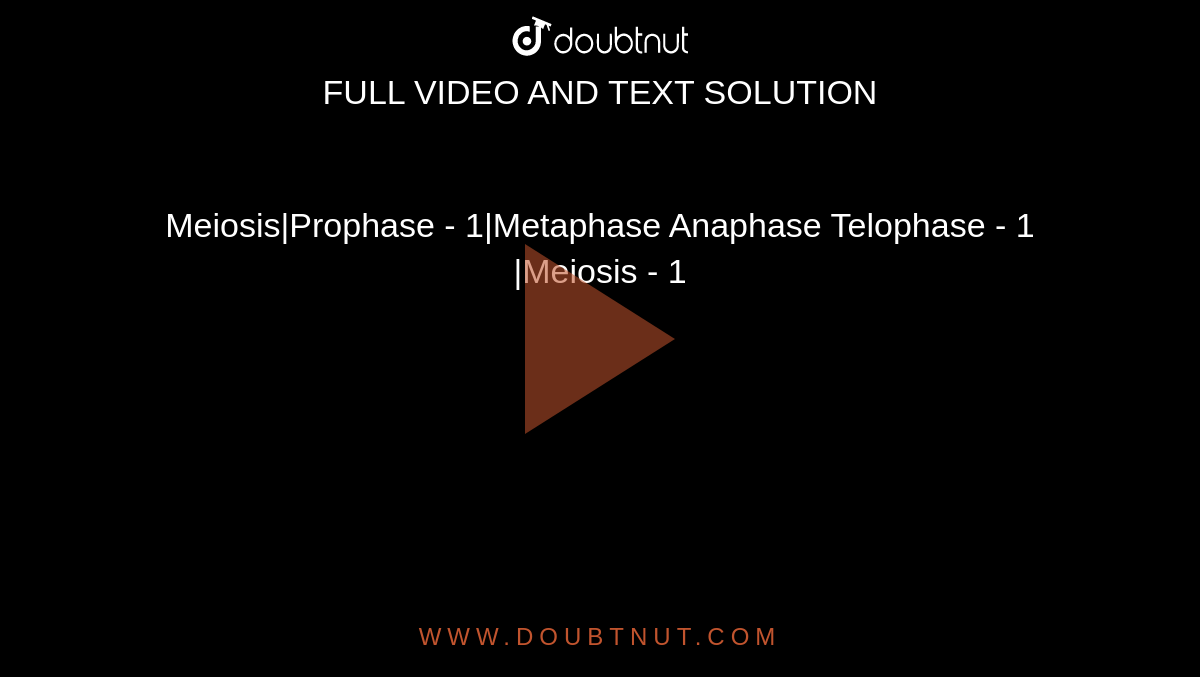 Meiosis|Prophase - 1|Metaphase Anaphase Telophase - 1 |Meiosis - 1