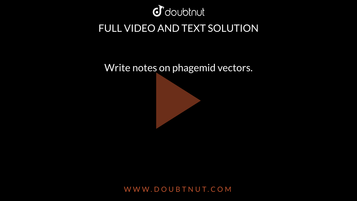 Write notes on phagemid vectors.