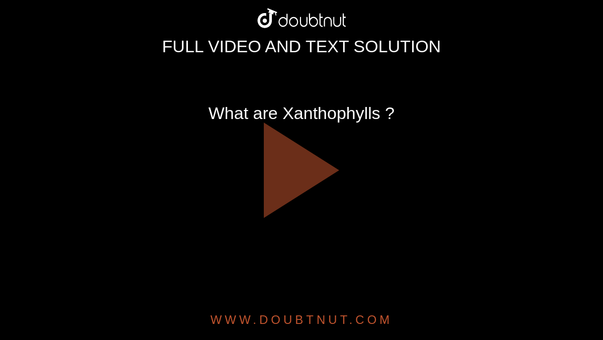 What are Xanthophylls ? 