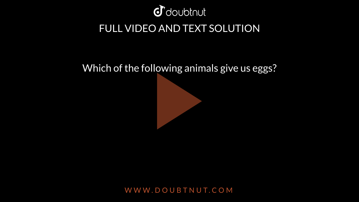 Which of the following animals give us eggs? Which of the following animals give us eggs?