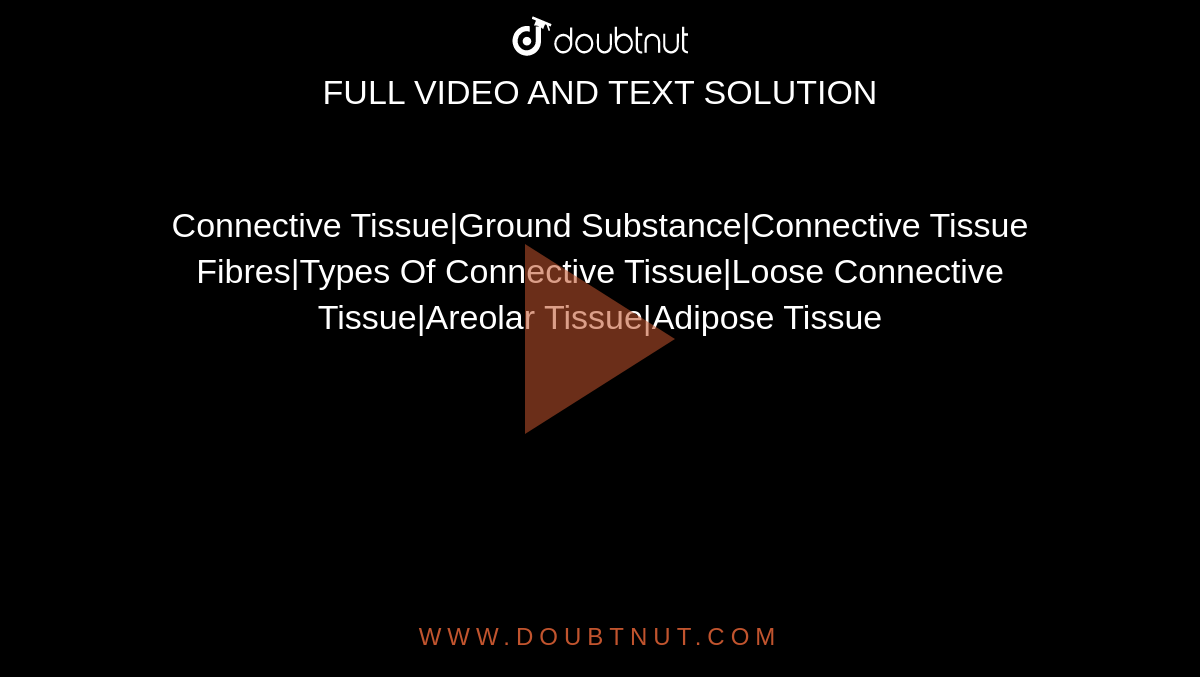 Connective Tissue|Ground Substance|Connective Tissue Fibres|Types Of Connective Tissue|Loose Connective Tissue|Areolar Tissue|Adipose Tissue
