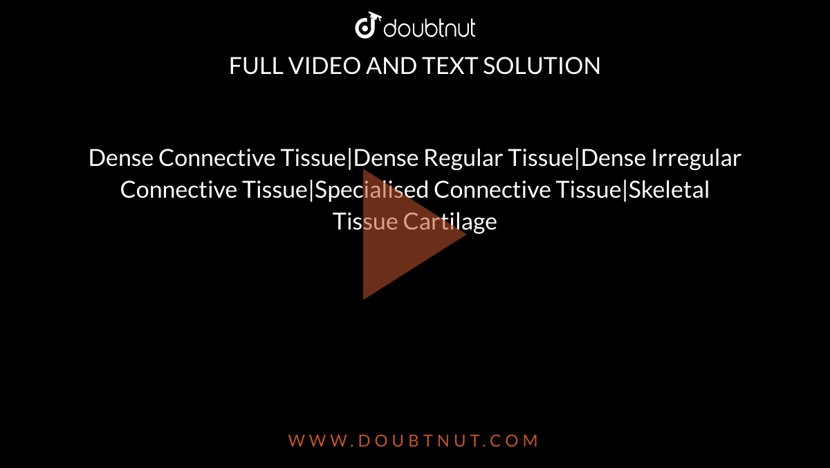 Dense Connective Tissue|Dense Regular Tissue|Dense Irregular Connective Tissue|Specialised Connective Tissue|Skeletal Tissue Cartilage