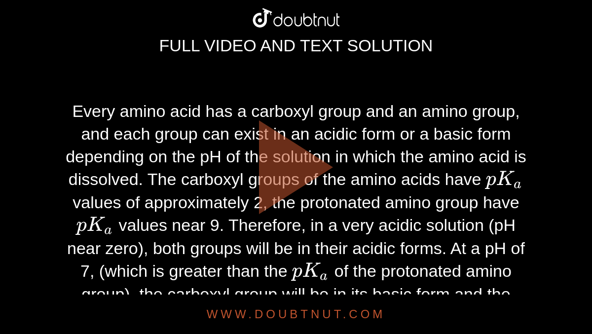 amino group and carboxyl group