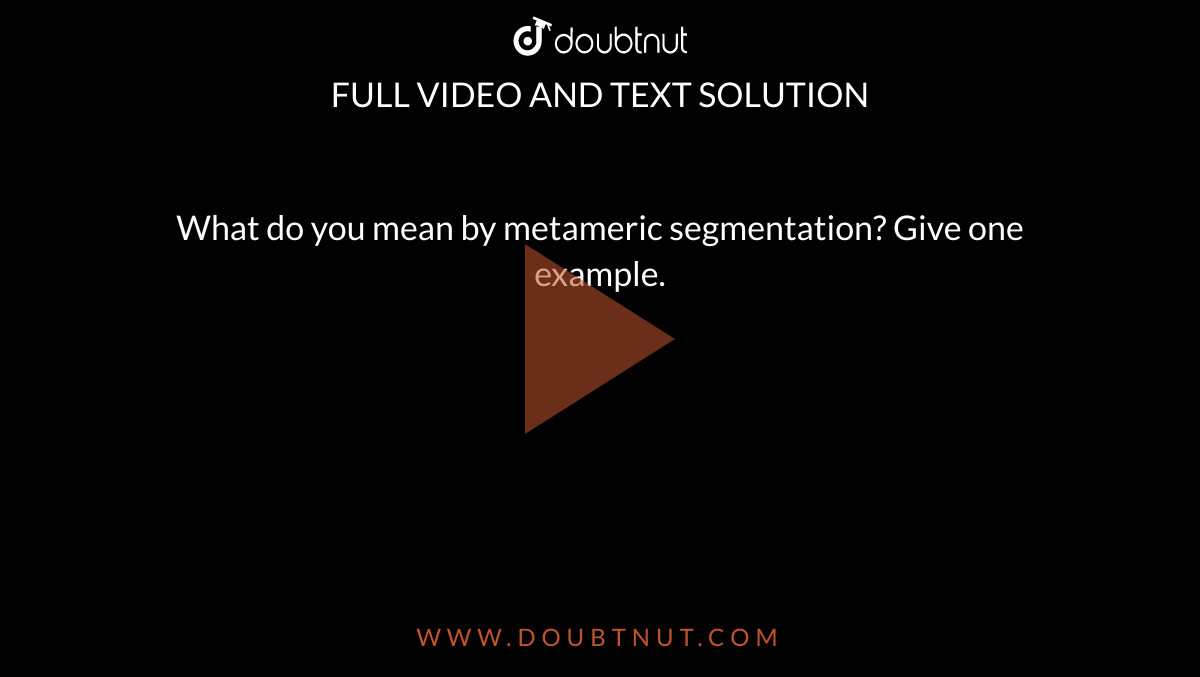 What Do You Mean By Metameric Segmentation Give One Example 