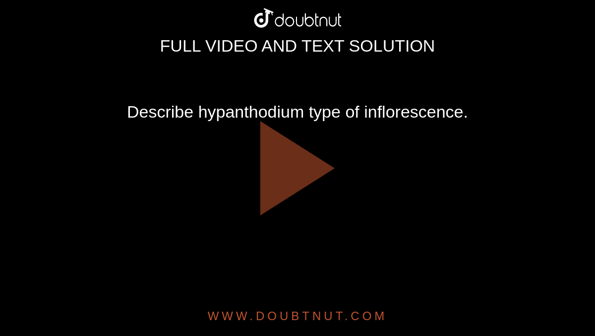 Describe hypanthodium type of inflorescence.