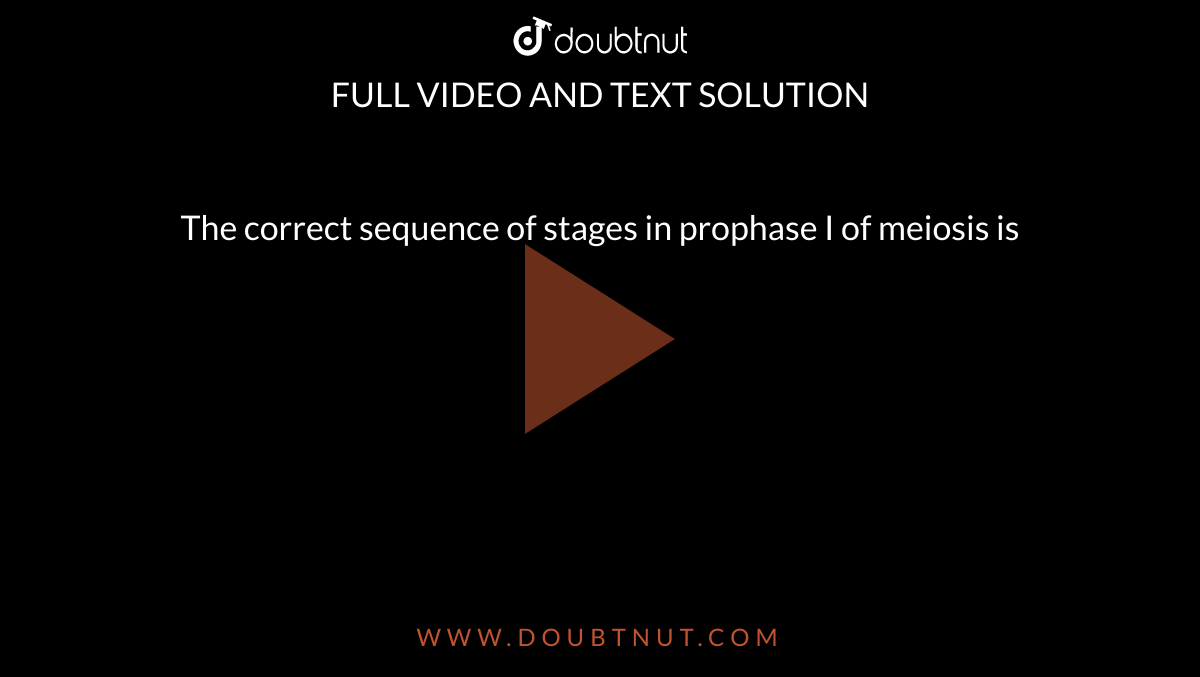 The correct sequence of stages in prophase I of meiosis is