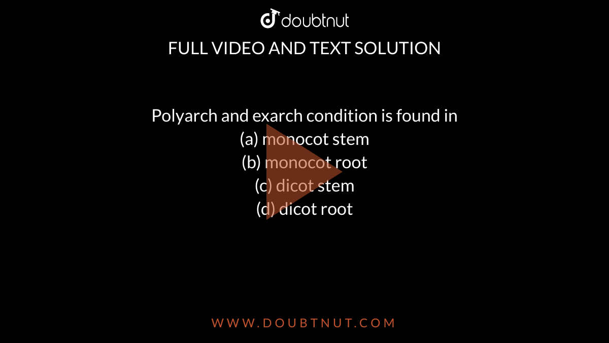 Polyarch and exarch condition is found in <br>(a) monocot stem<br>

(b) monocot root<br>

(c) dicot stem<br>

(d) dicot root
