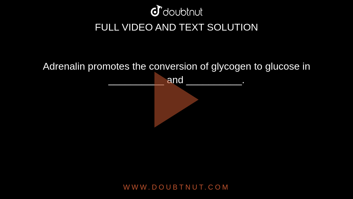 Adrenalin promotes the conversion of glycogen to glucose in __________ and __________.
