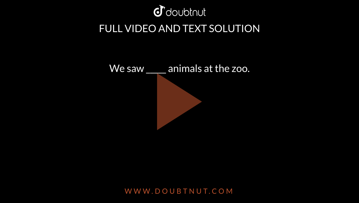 We saw animals at the zoo. We saw animals at the zoo.
