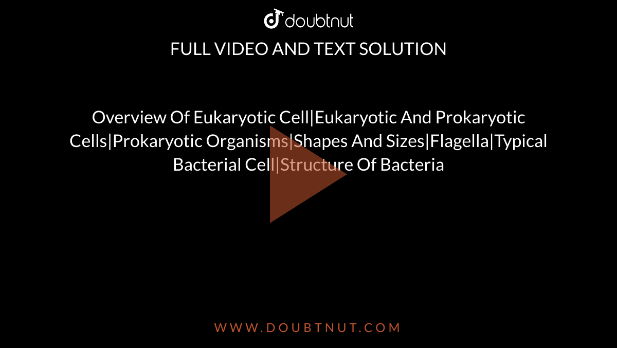 Overview Of Eukaryotic Cell|Eukaryotic And Prokaryotic Cells|Prokaryotic Organisms|Shapes And Sizes|Flagella|Typical Bacterial Cell|Structure Of Bacteria