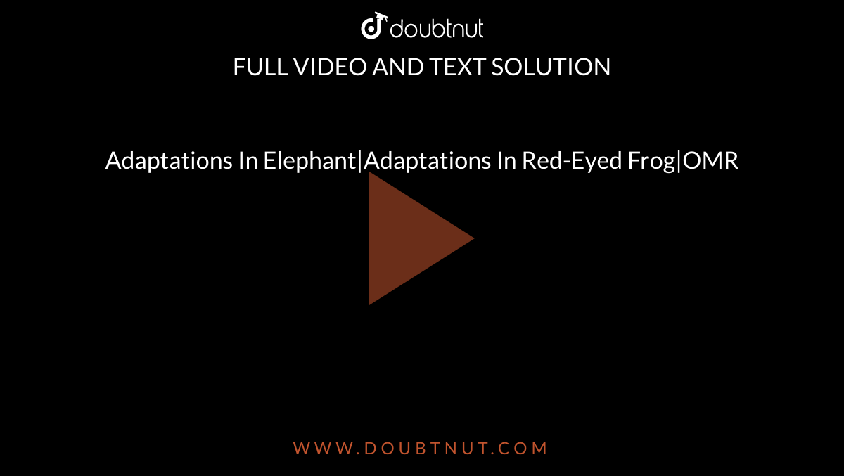 Adaptations In Elephant|Adaptations In Red-Eyed Frog|OMR