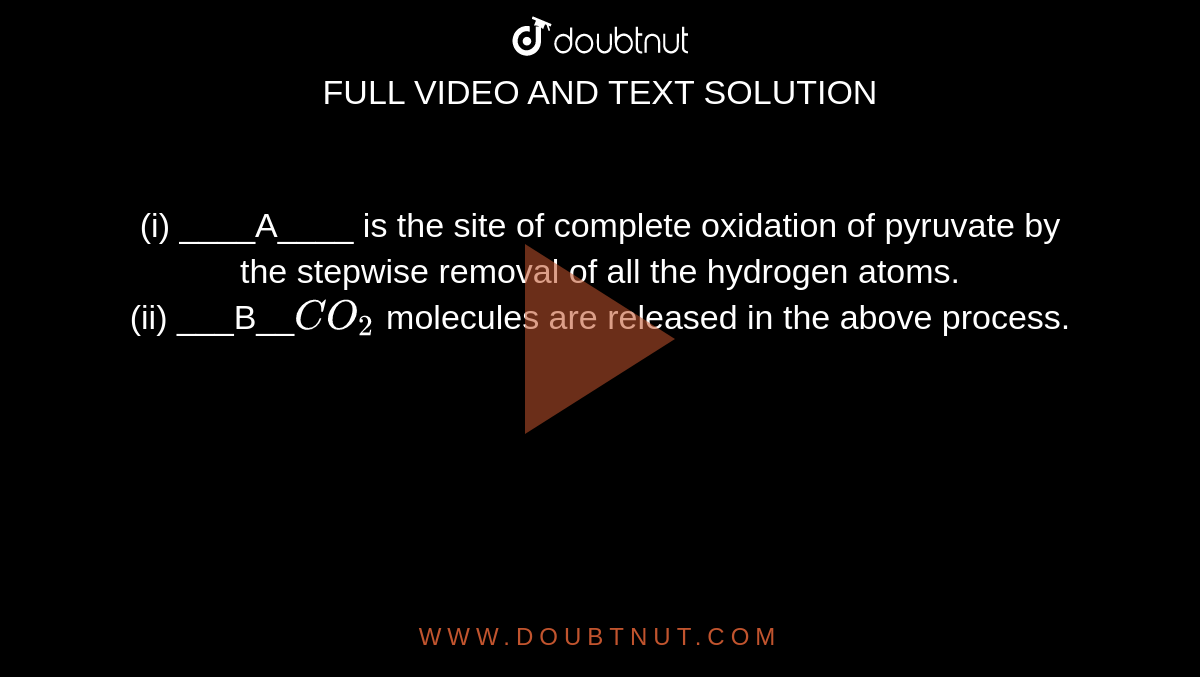 (i) ____A____ is the site of complete oxidation of pyruvate by the stepwise removal of all the hydrogen atoms. <br> (ii) ___B__`CO_2` molecules are released in the above process. 