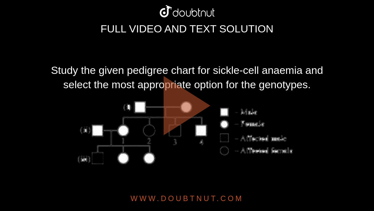 Sickle Cell Anemia Pedigree With Genotypes