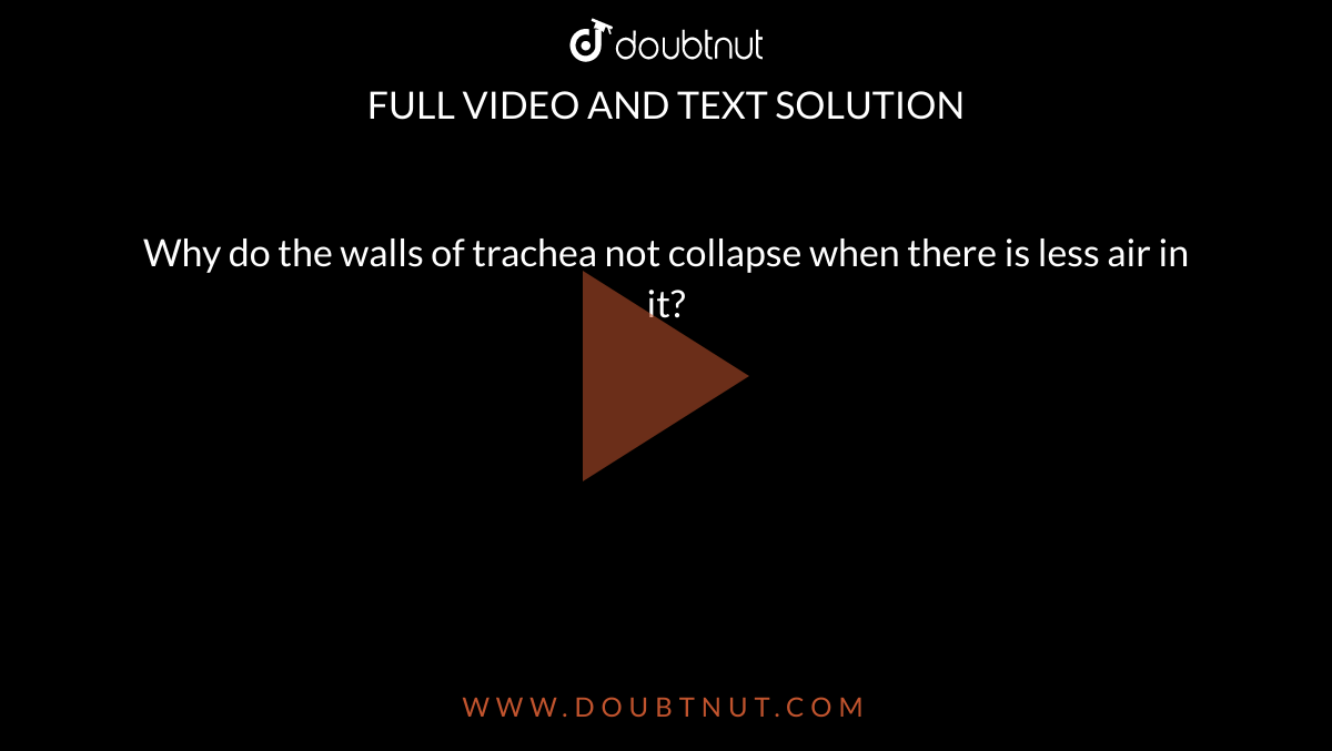 Why do the walls of trachea not collapse when there is less air in it?