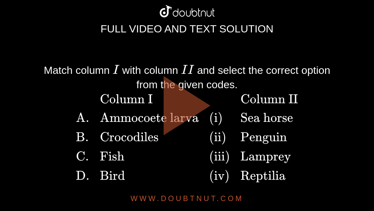 Match column `I` with column `II` and select the correct option from the given codes. <br> `{:(,"Column I",,"Column II"),("A.","Ammocoete larva","(i)","Sea horse"),("B.","Crocodiles","(ii)","Penguin"),("C.","Fish","(iii)","Lamprey"),("D.","Bird","(iv)","Reptilia"):}`
("E.","Mammal","(iv)","Bat"):}`