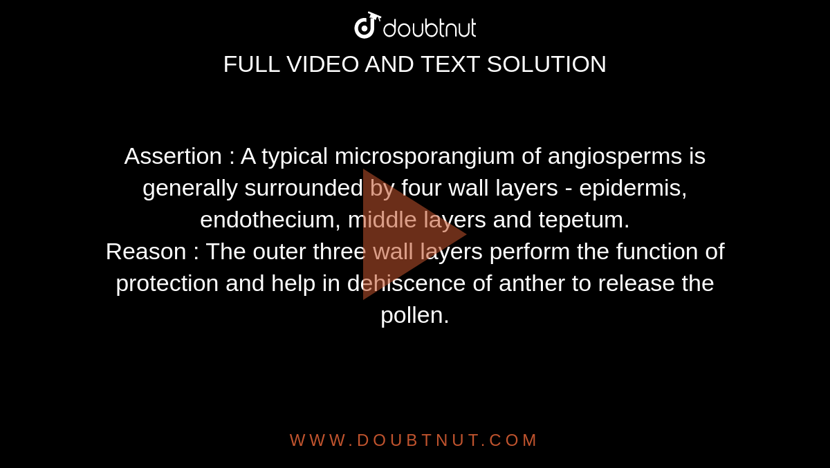 Assertion : A typical microsporangium of angiosperms is generally surrounded by four wall layers - epidermis, endothecium, middle layers and tepetum. <br> Reason : The outer three wall layers perform the function of protection and help in dehiscence of anther to release the pollen. 