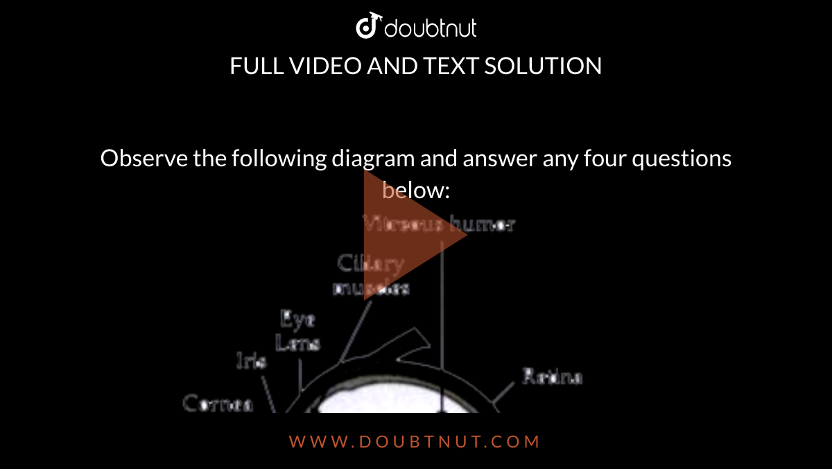 Observe The Following Diagram And Answer Any Four Questions Below: