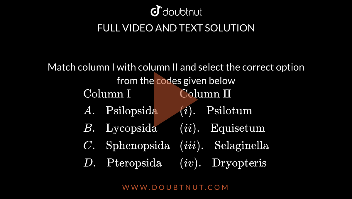 Match column I with column II and select the correct option from the codes given below <br> `{:("Column I","Column II"),(A." Psilopsida",(i)." Psilotum"),(B." Lycopsida",(ii)." Equisetum"),(C." Sphenopsida",(iii)." Selaginella"),(D." Pteropsida",(iv)." Dryopteris"):}`