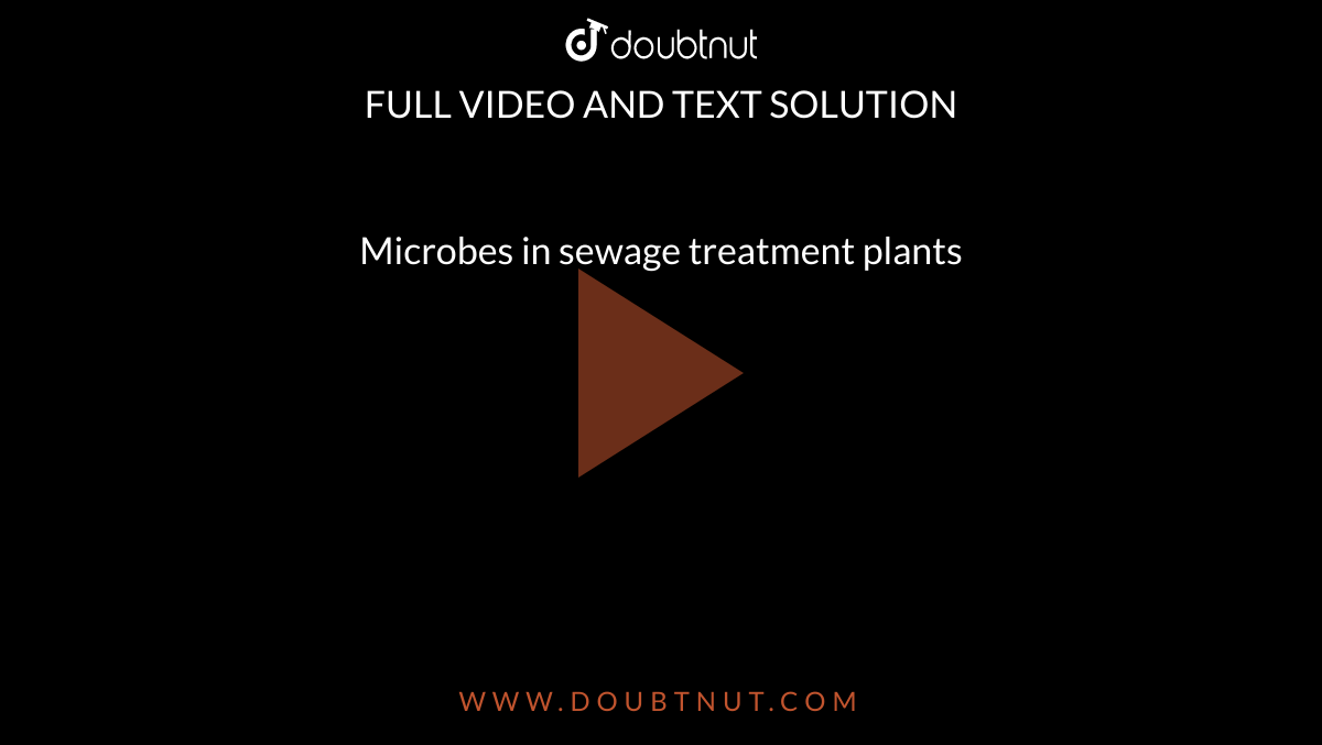 Microbes in sewage treatment plants
