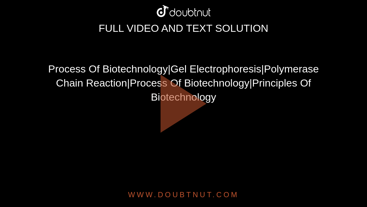Process Of Biotechnology|Gel Electrophoresis|Polymerase Chain Reaction|Process Of Biotechnology|Principles Of Biotechnology