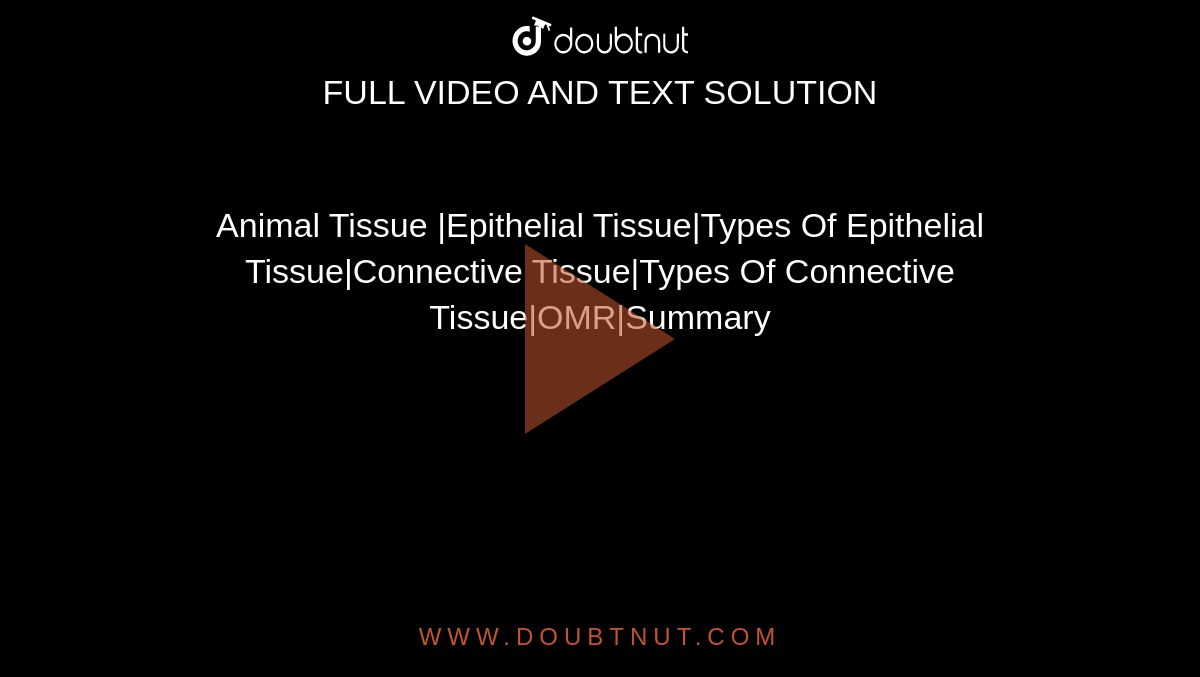 Animal Tissue |Epithelial Tissue|Types Of Epithelial Tissue|Connective Tissue|Types Of Connective Tissue|OMR|Summary