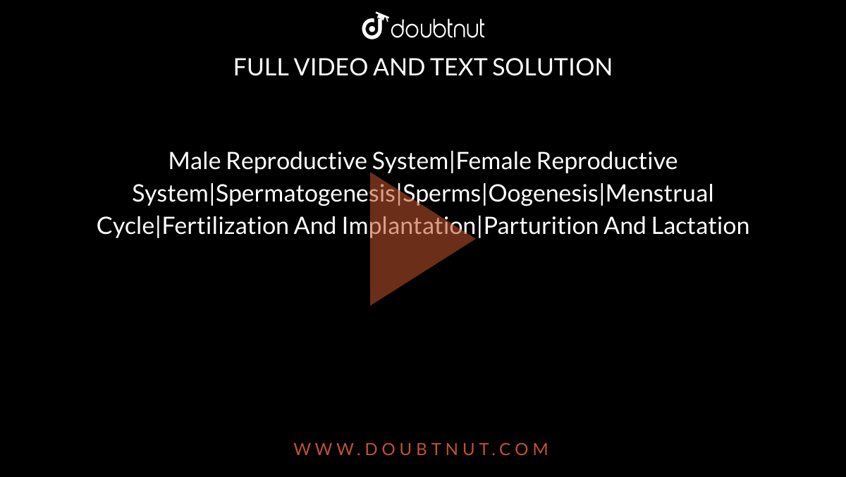 Male Reproductive System|Female Reproductive System|Spermatogenesis|Sperms|Oogenesis|Menstrual Cycle|Fertilization And Implantation|Parturition And Lactation