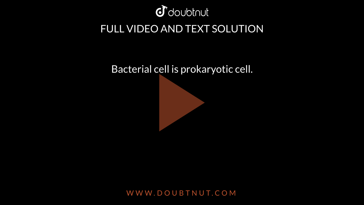 Bacterial cell is prokaryotic cell. 