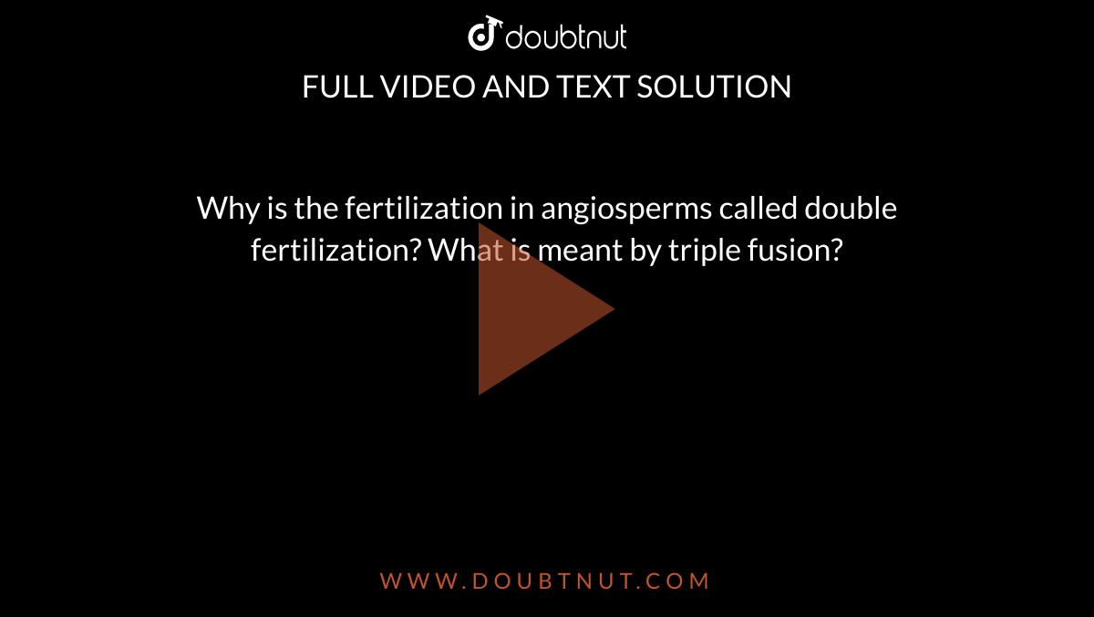 Why is the fertilization in angiosperms called double fertilization? What is meant by triple fusion?