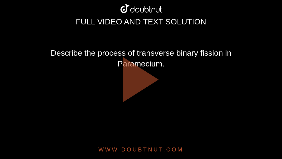 binary fission in paramecium