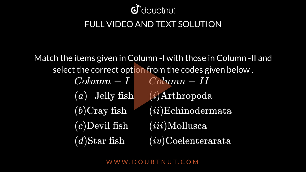 Match the items given in Column -I with those in Column -II and select the correct option from the codes given below . <br> `{:(Column-I,Column-II),((a)" Jelly fish ",(i) "Arthropoda"),((b)"Cray fish",(ii)"Echinodermata"),((c )"Devil fish",(iii) "Mollusca"),((d)"Star fish",(iv)"Coelenterarata"):}`