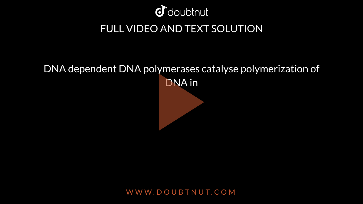 DNA dependent DNA polymerases catalyse polymerization of DNA in