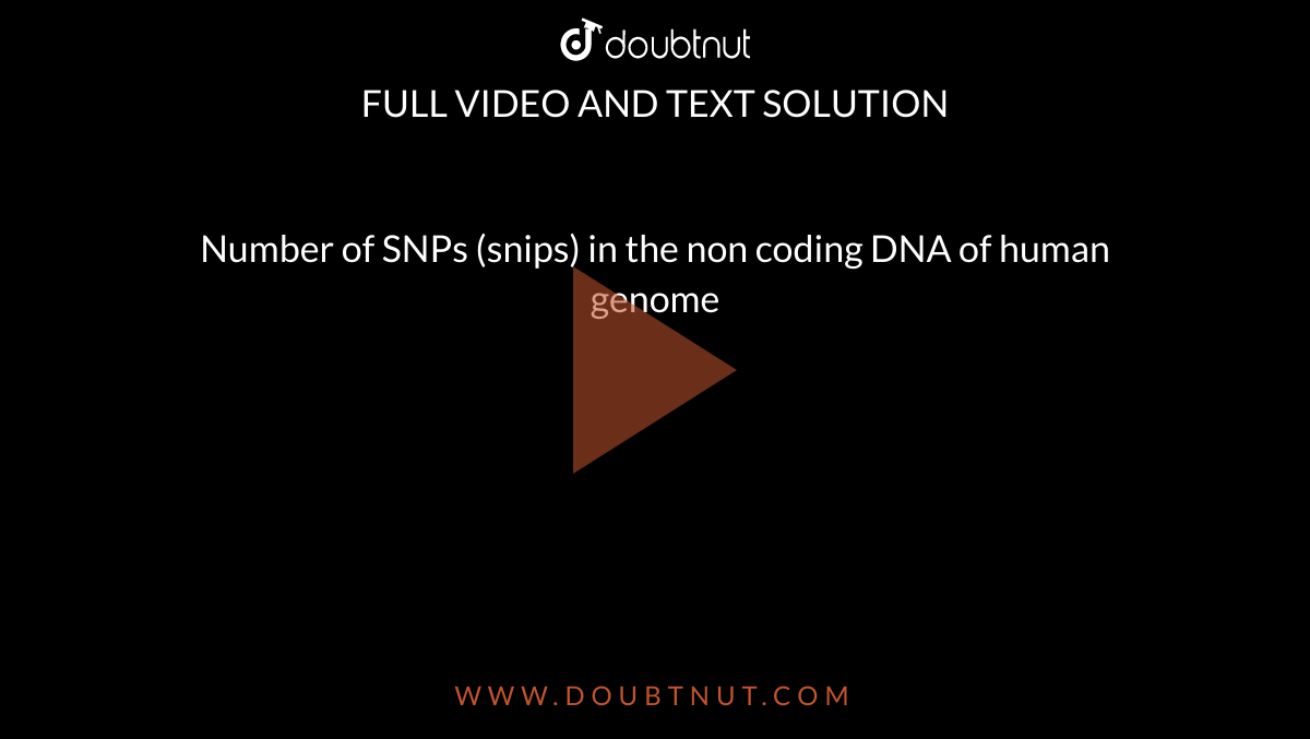 Number of SNPs (snips) in the non coding DNA of human genome